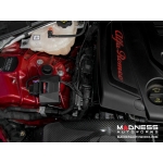 Alfa Romeo Giulia 2.0L - Engine Control Module - MAXPower PRO by MADNESS